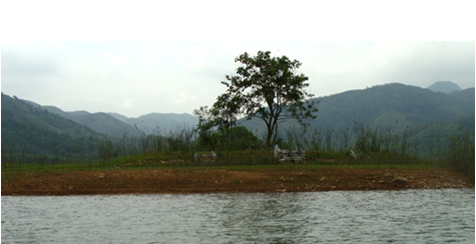 XÓT XA LĂNG MỘ VUA TRẦN ANH TÔNG.... XÓT XA LĂNG MỘ VUA TRẦN ANH TÔNG....